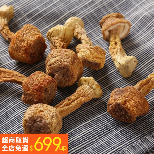 小食代 巴西蘑菇姬松茸乾貨云南特產食用菌松茸赤松茸 滿1499黑貓宅配免運 蝦皮購物