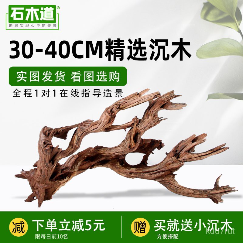 新品現貨石木道30 40cm沉木精選造景木紫柚木流木小號魚缸水族箱水草造景 蝦皮購物