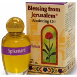 【以琳ELIM】真哪噠香膏 (甘松) SPIKENARD 以色列耶路撒冷原裝進口橄欖膏油│以琳書房 ELIM