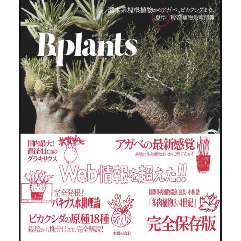 SL's植物園-B.plants夏型珍奇植物最新情報-灌木系塊根植物からアガベ、ビカクシダまで