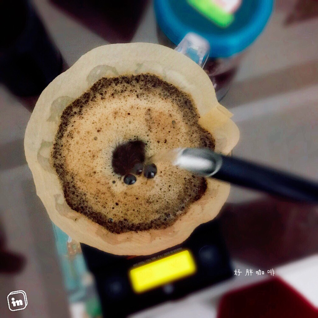 ⁌好胖咖啡⁍ 南美洲 哥倫比亞 希望莊園 摩卡小圓豆 單一品種 蜜處理法 極少量 冠軍莊園 半磅裝 手工咖啡 稀有品種