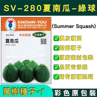 【萬樹種子】 SV-280 夏南瓜-綠球 節瓜 櫛瓜 特選蔬果種子 農友種苗 彩色密封 原廠包裝