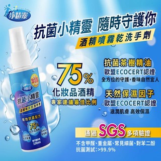 【現貨附發票】淨精靈 抗菌小精靈 酒精噴霧乾洗手劑 100ml /瓶