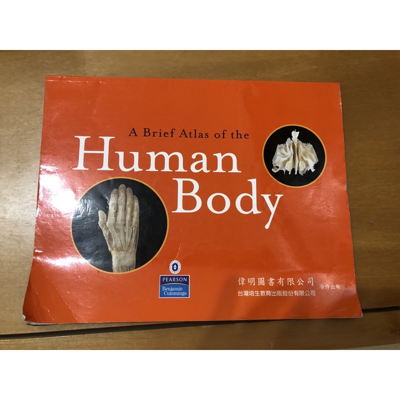 輔英科大二手書Human Body