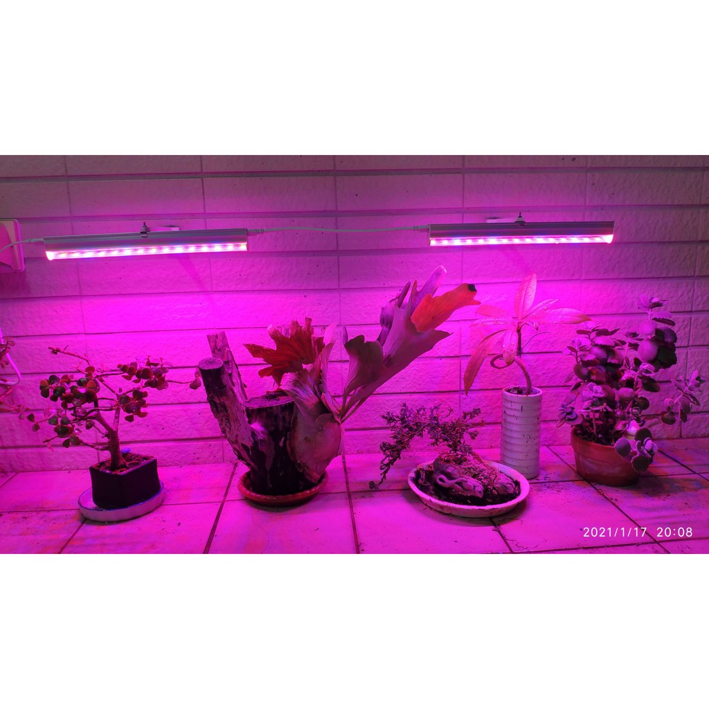 防水LED 防水植物燈 戶外用 防風雨 抗濕氣 多肉 魚缸 植物工廠 植物燈
