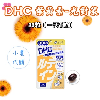 日本 DHC 葉黃素-光對策 20日/30日 金盞花 花青素 葉黃素 營養素