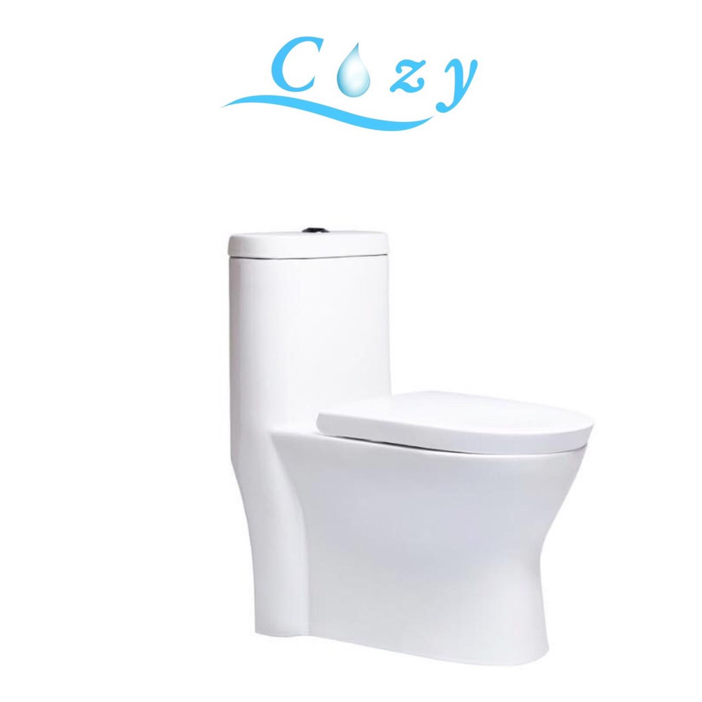 Cozy 可麗衛浴 現貨 CZ-1698單體馬桶  雙孔龍捲  緩降馬桶蓋 抗污釉面 省水裝置