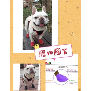 現貨 臺灣正貨 寵物腳套 PAWZ 保證美國正品 天然橡膠 寵物鞋套 防燙腳 防舔腳 寵物雨鞋（12入)XXS~XL