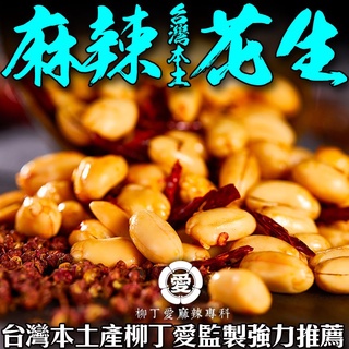 柳丁愛【A716】麻辣花生 台灣製造200g 熟食 小喫