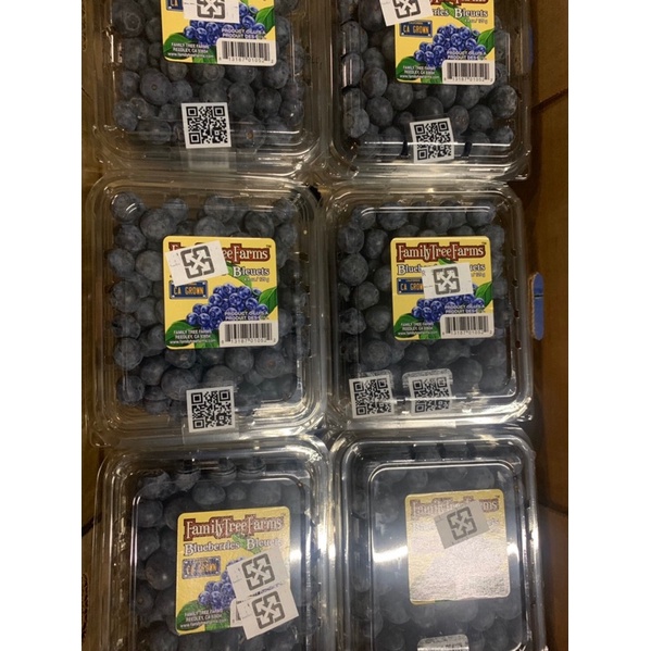 紐西蘭特價藍莓1盒125克