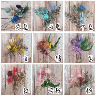 台灣現貨 Diy 乾燥花材料包 拍攝道具不凋花乾燥花永生花花材材料包乾燥花束 Beecost