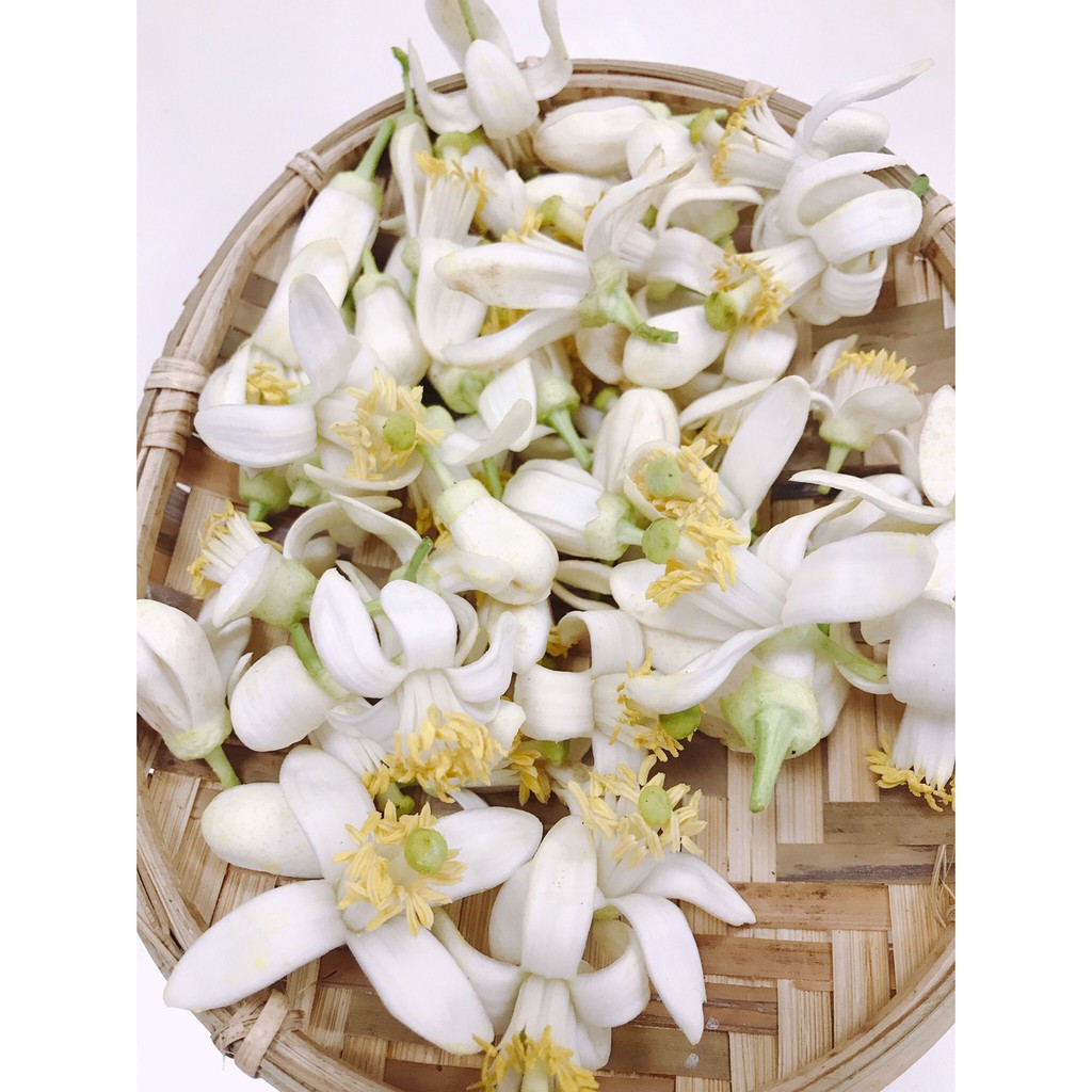 星源茶園特色季節限定茶柚花茶罐裝系列 柚花烏龍 柚花紅茶 柚花綠茶 蝦皮購物