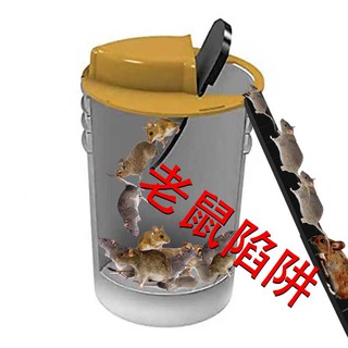 年最新款老鼠陷阱 自動復位捕鼠蹺蹺板 捕鼠器 捕鼠神器 室內捕鼠神器 室外捕鼠神器 抓老鼠神器連續捕鼠
