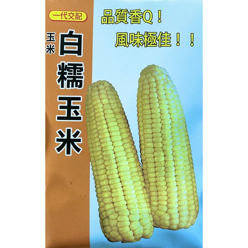 ［大信農產行］白糯玉米 種子每包12公克