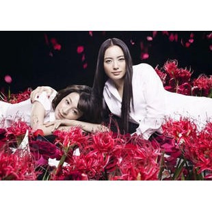 美麗鄰居鄰家美人 仲間由紀惠dvd 蝦皮購物