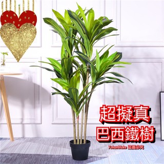 ❤️宅配免運費❤️北歐模擬樹 巴西鐵 室內裝飾 綠色植物大型擺件假花 綠植 盆栽 盆栽假樹