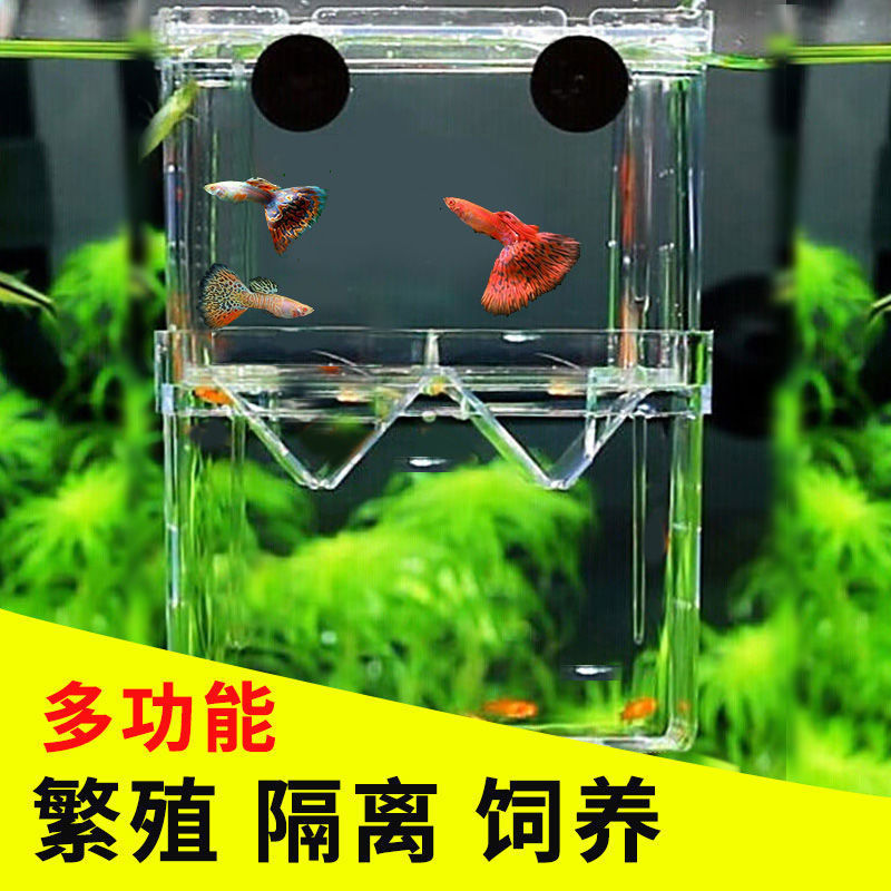 蝦皮推薦 孔雀魚繁殖盒幼魚孵化盒魚缸隔離盒斗魚盒幼魚苗隔離箱網魚卵產房 蝦皮購物