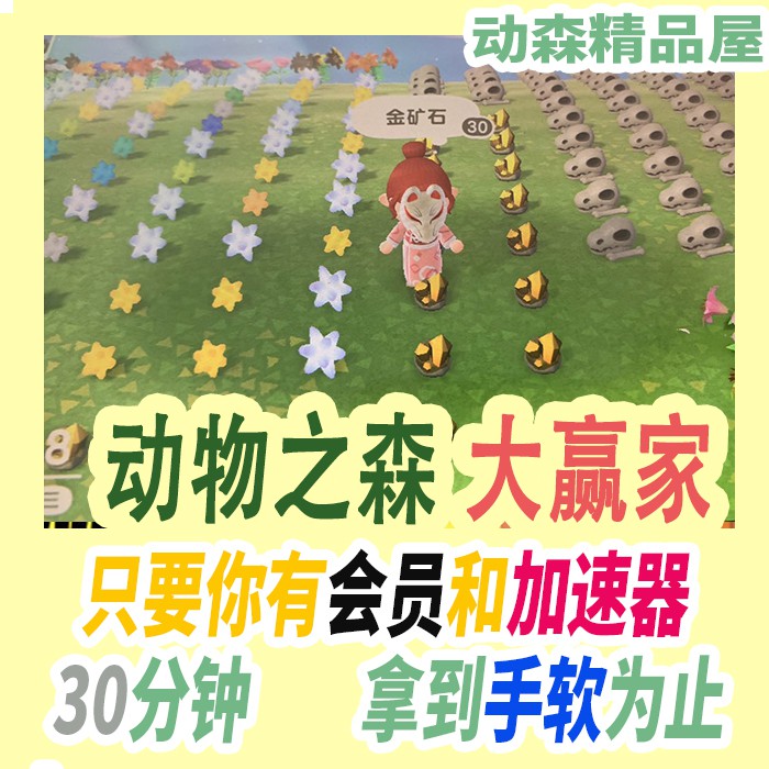 動森上島素材島無限撿裝備動物森友會 蝦皮購物
