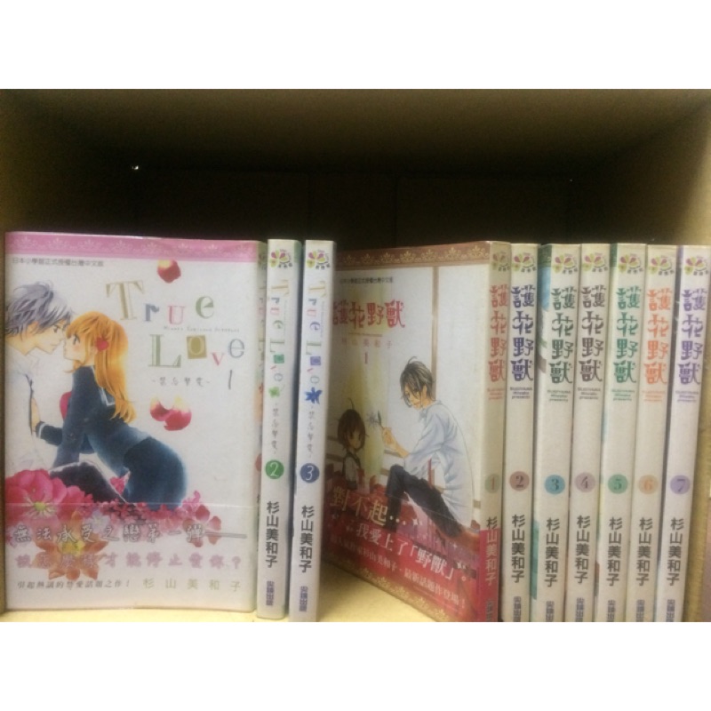 衫山美和子 True Love 護花野獸 蝦皮購物