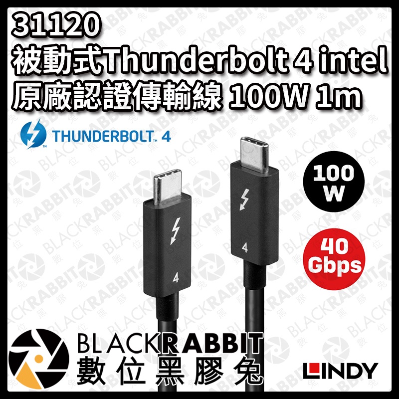 LINDY 林帝 31120 被動式 Thunderbolt 4 intel 原廠認證傳輸線 100W 1M 數位黑膠兔