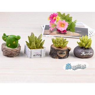 森華商城➜◊仿真植物裝飾◊[模擬多肉植物盆栽-大款] 四款(不挑款)裝飾 桌面小擺件 園藝/水族造景/微景觀