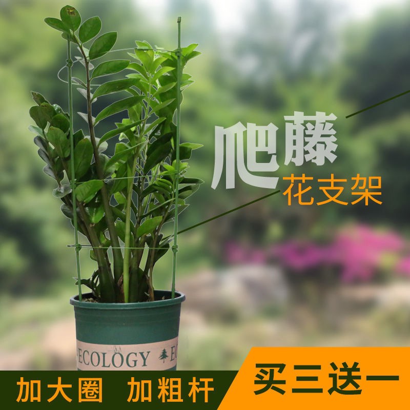 現貨 免運 組裝爬藤花架 爬藤花架園藝支柱架陽台綠蘿月季鐵線蓮藤本花卉植物攀爬鐵藝支撐奇妙屋 蝦皮購物