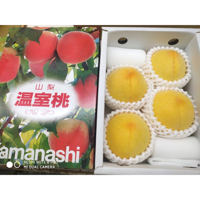 黃金水蜜桃 Ptt Dcard討論與高評價網拍商品 21年8月 飛比價格
