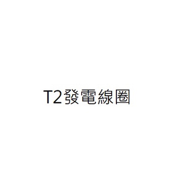 T2電盤內仁 T2發電線圈 T2發電內仁 T2 250電盤內仁 T2 250發電線圈 T2 250發電內仁 三陽公司貨