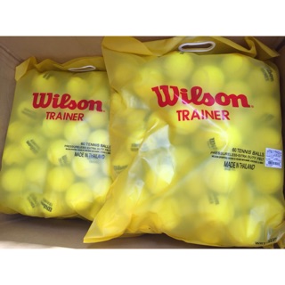 ◇ 羽球世家◇ WILSON 無壓練習球 單顆 網球練習球 trainer 品質保證 整袋60入