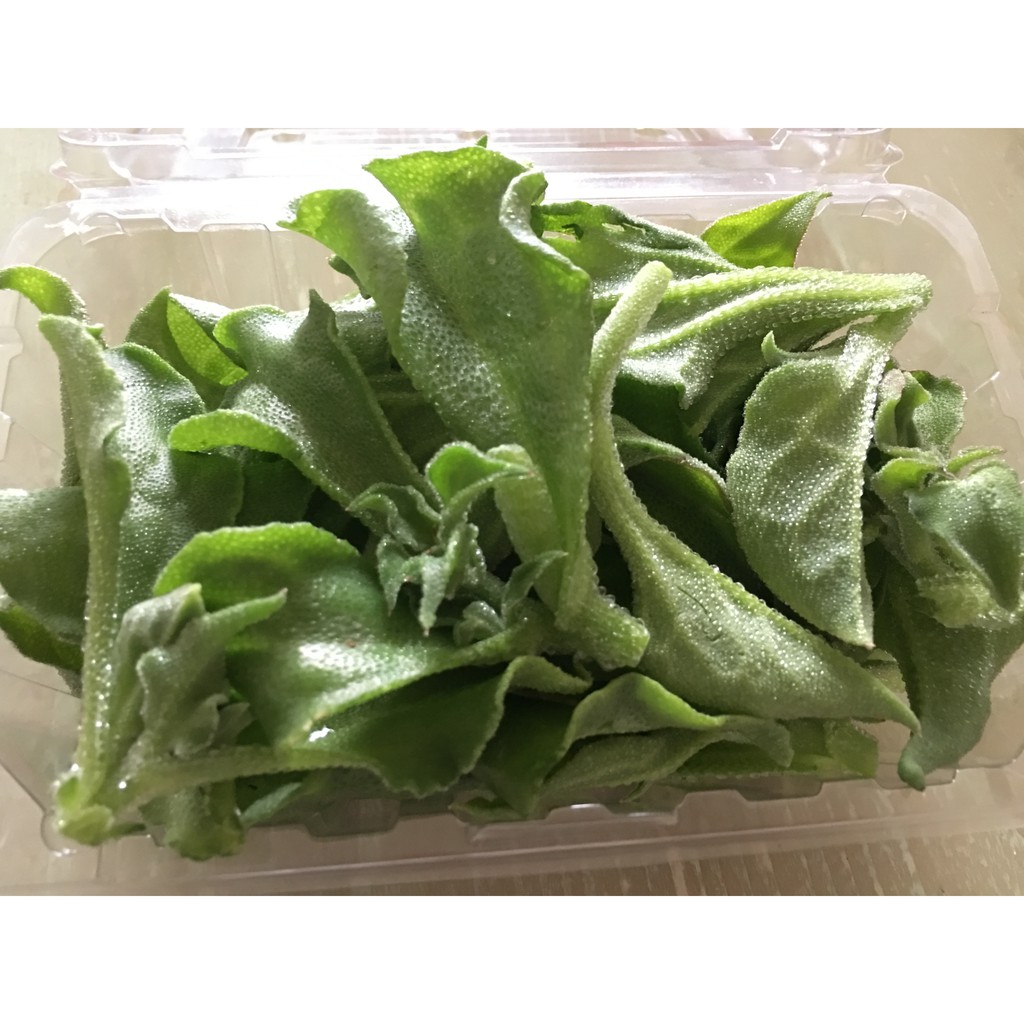 冰花季結束囉 200g 盒 澎湖小農冰花 水晶冰菜 Iceplants季節限定 蝦皮購物