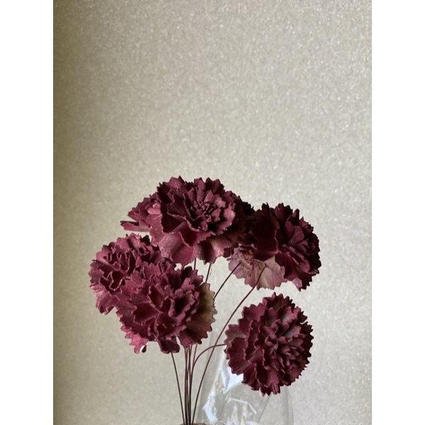 花趣蒔光 索拉花康乃馨深紅 蝦皮購物