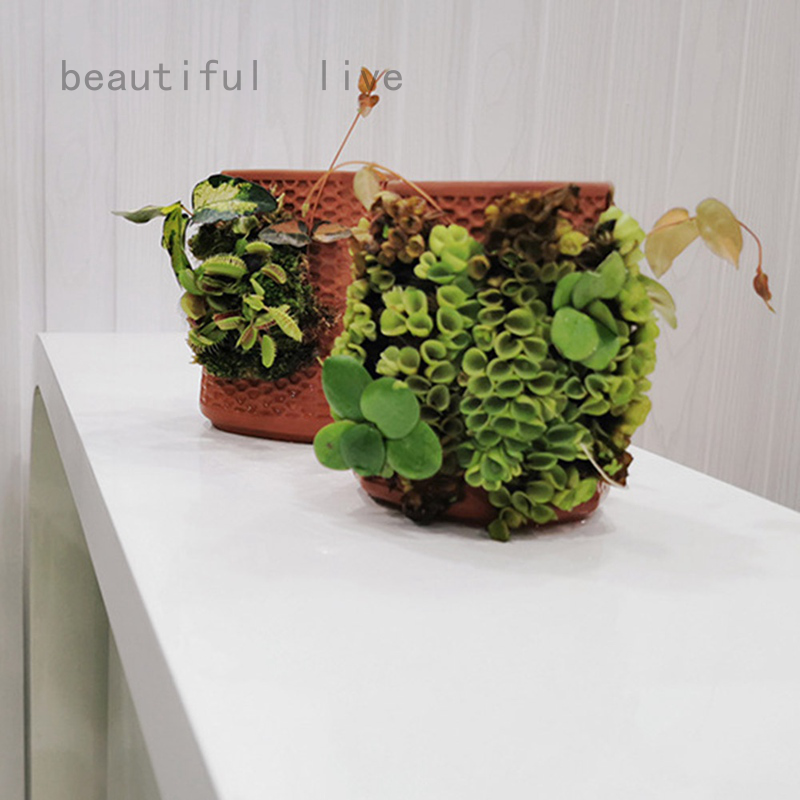 美麗的活陶罐陶瓷陶器花壇土地多肉苗圃植物工藝品 蝦皮購物