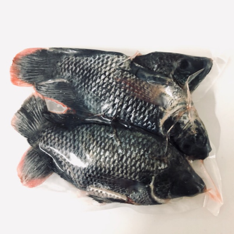 《信魚》鹹水吳郭魚 優惠中（600g) 無土味 幫你殺好 真空保存 即拆就可煮