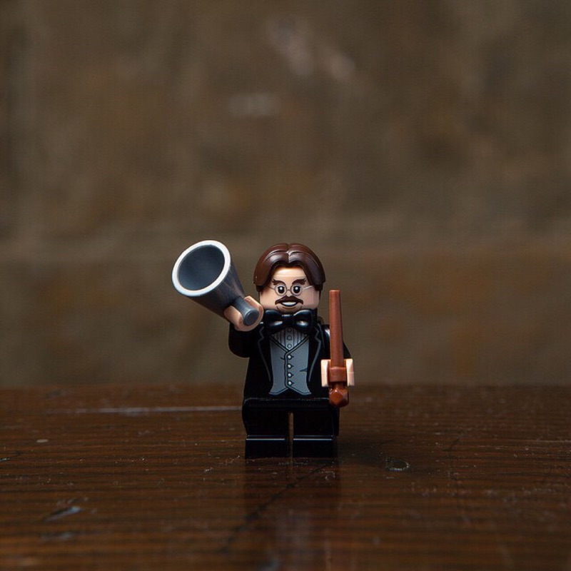 LEGO 71022 13 哈利波特(沒有附外包裝)