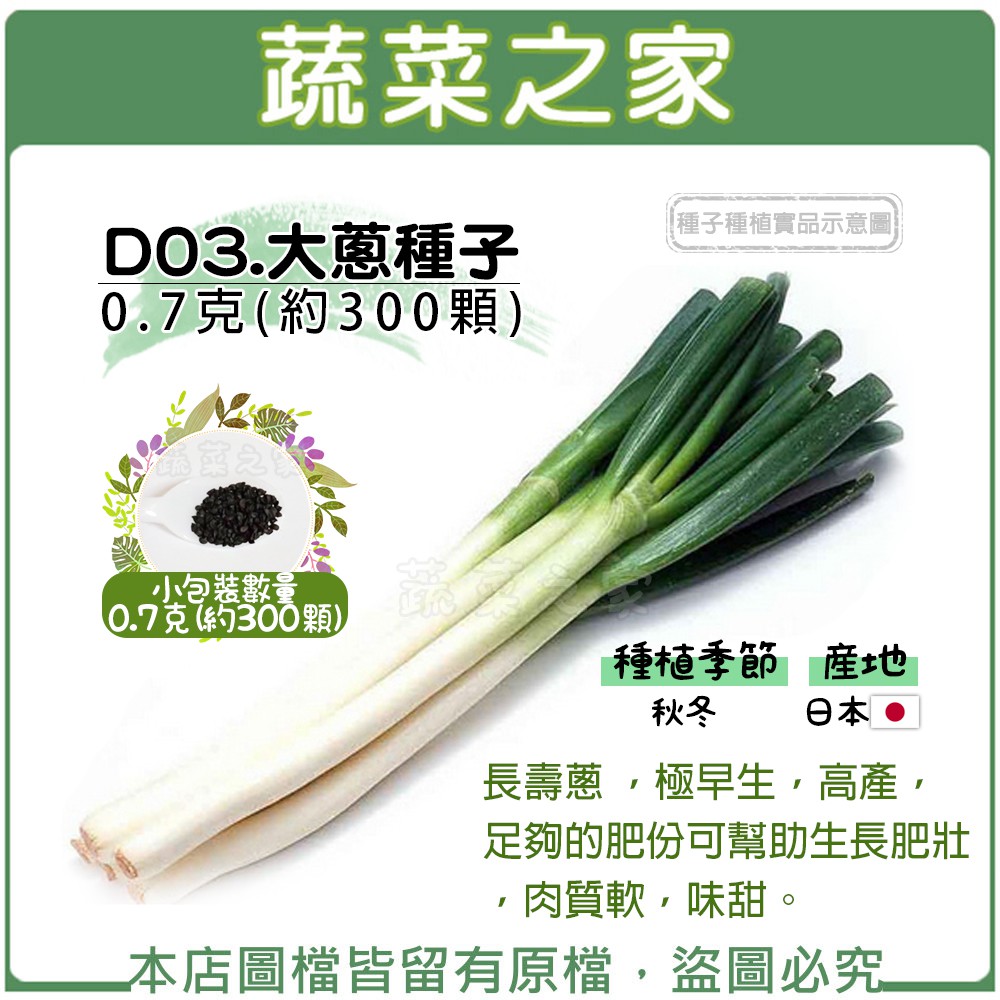 蔬菜之家 D03 大蔥種子0 7克 約300顆 長壽蔥 極早生 高產 足夠的肥份可幫助生長肥壯 肉質軟 味甜 蝦皮購物