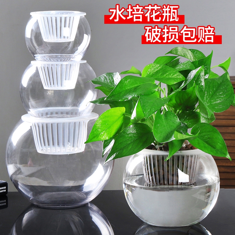 創意水培植物透明玻璃花瓶容器綠蘿盆栽水養花盆圓球形小魚缸器皿 蝦皮購物