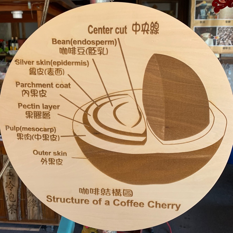 咖啡結構圖 雷射 激光 客製