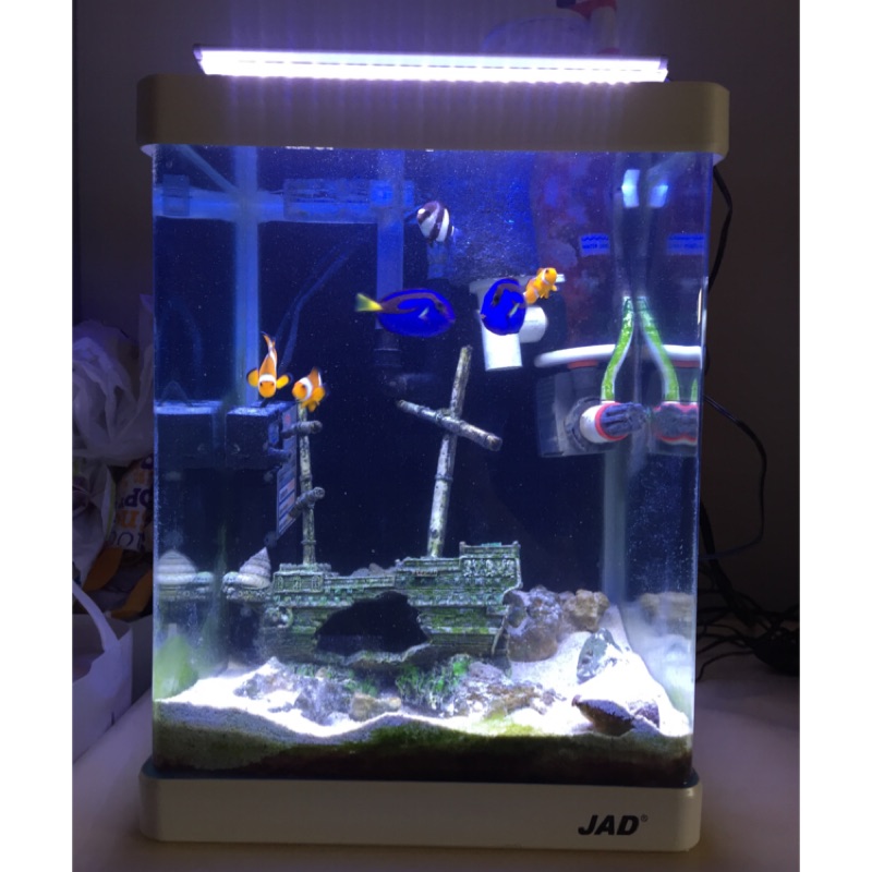 海水魚缸組海水缸套缸 蝦皮購物