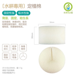 水耕霖 水耕育苗綿 96塊 片 8片裝 種植海綿 水耕泡綿 育苗棉 育苗海棉 海棉 水耕海棉 無土栽培 蝦皮購物