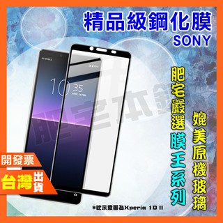 SONY XPERIA 1 5 10 VI V IV III II 6代 5代 4代 3代 鋼化膜 保護貼 肥宅膜王