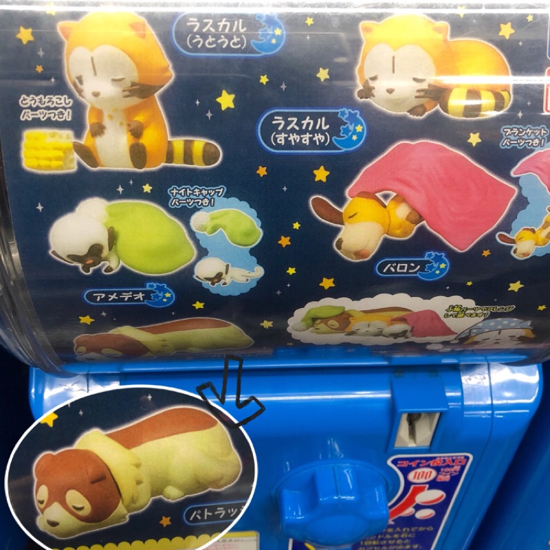 日本扭蛋/轉蛋TAKARA 小浣熊 玩具 限量