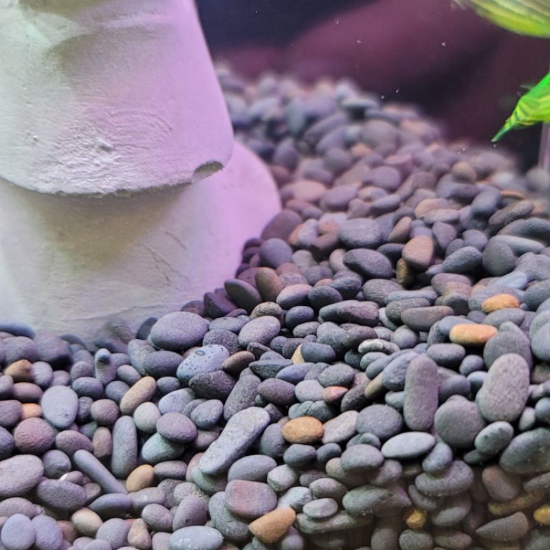 水族 水蘊草環 底砂 亞馬遜河砂 白玉石 大磯砂 美矽砂 圓宜蘭石 黑扁石 紅花崗石 黑曜石 水草砂 蝦皮購物