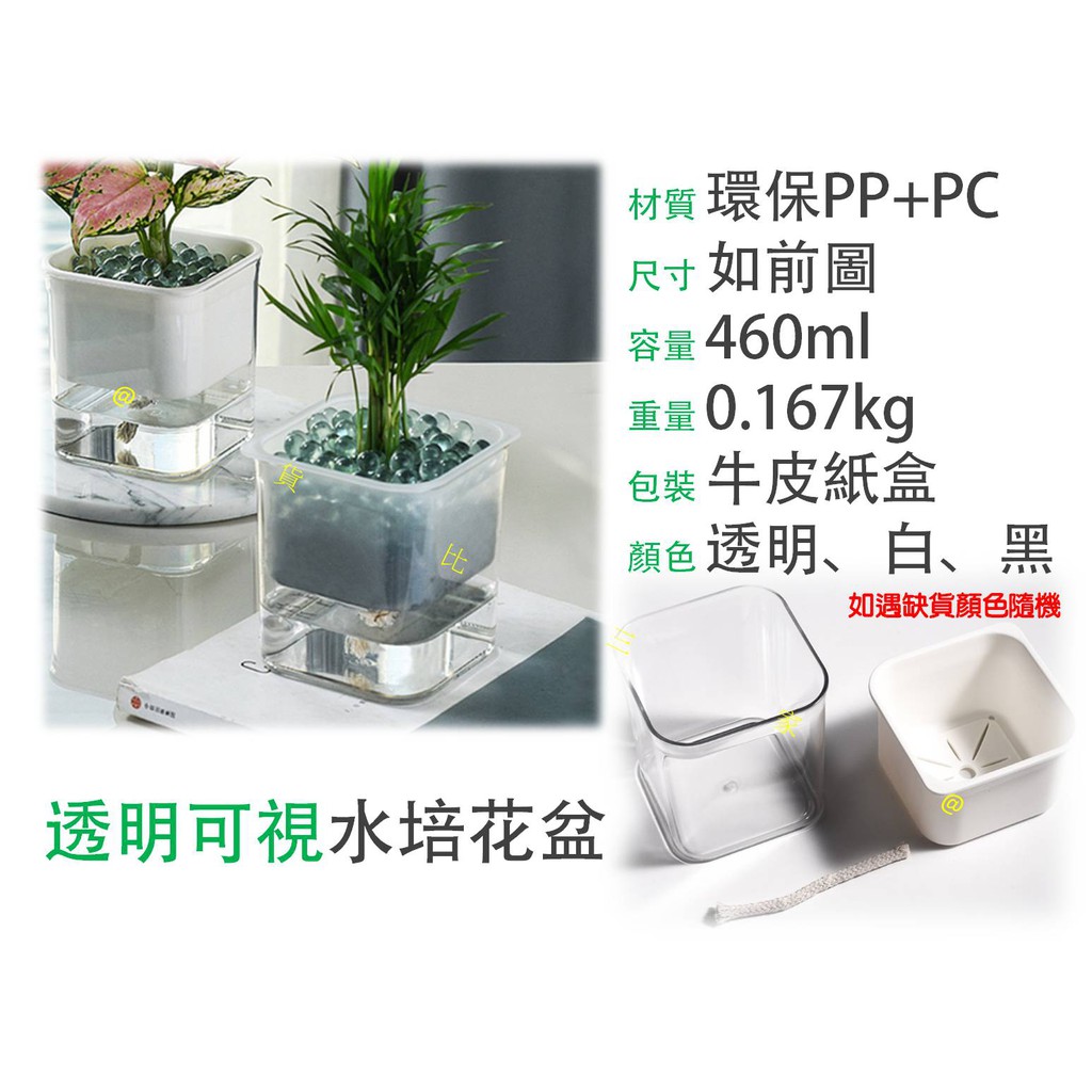 透明可視水培花盆自動吸水免澆水懶人養殖盆裝飾植栽盆栽水耕栽培法水耕法土培綠蘿吊蘭植物 蝦皮購物