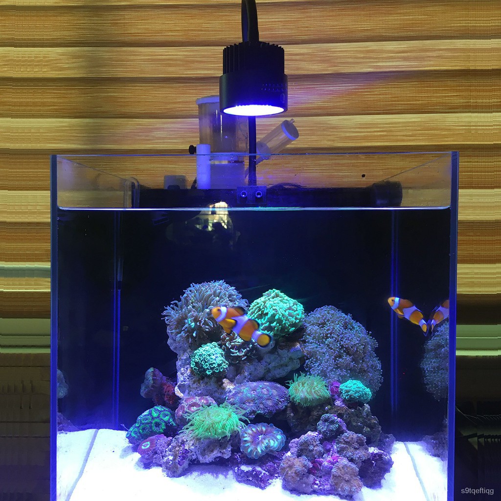 海水燈手機app藍牙控制珊瑚燈海缸燈模擬日出日落小海水缸迷你缸補光燈dd 蝦皮購物