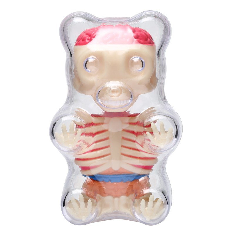 4D Master藝術家 Jason Freeny益智拼裝玩具小熊透視骨骼解剖模型