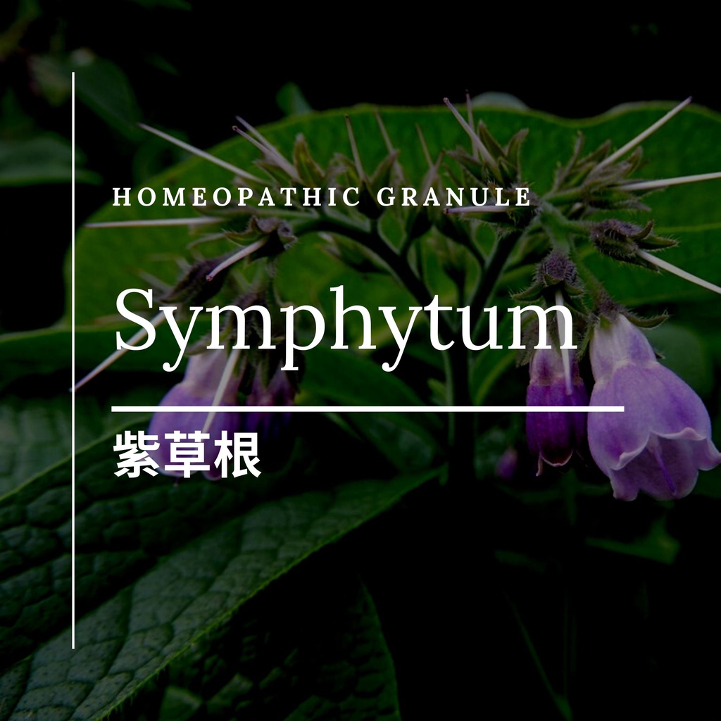順勢糖球【紫草根●Symphytum】康復力草Comfrey Homeopathic Granule食在自在心空間
