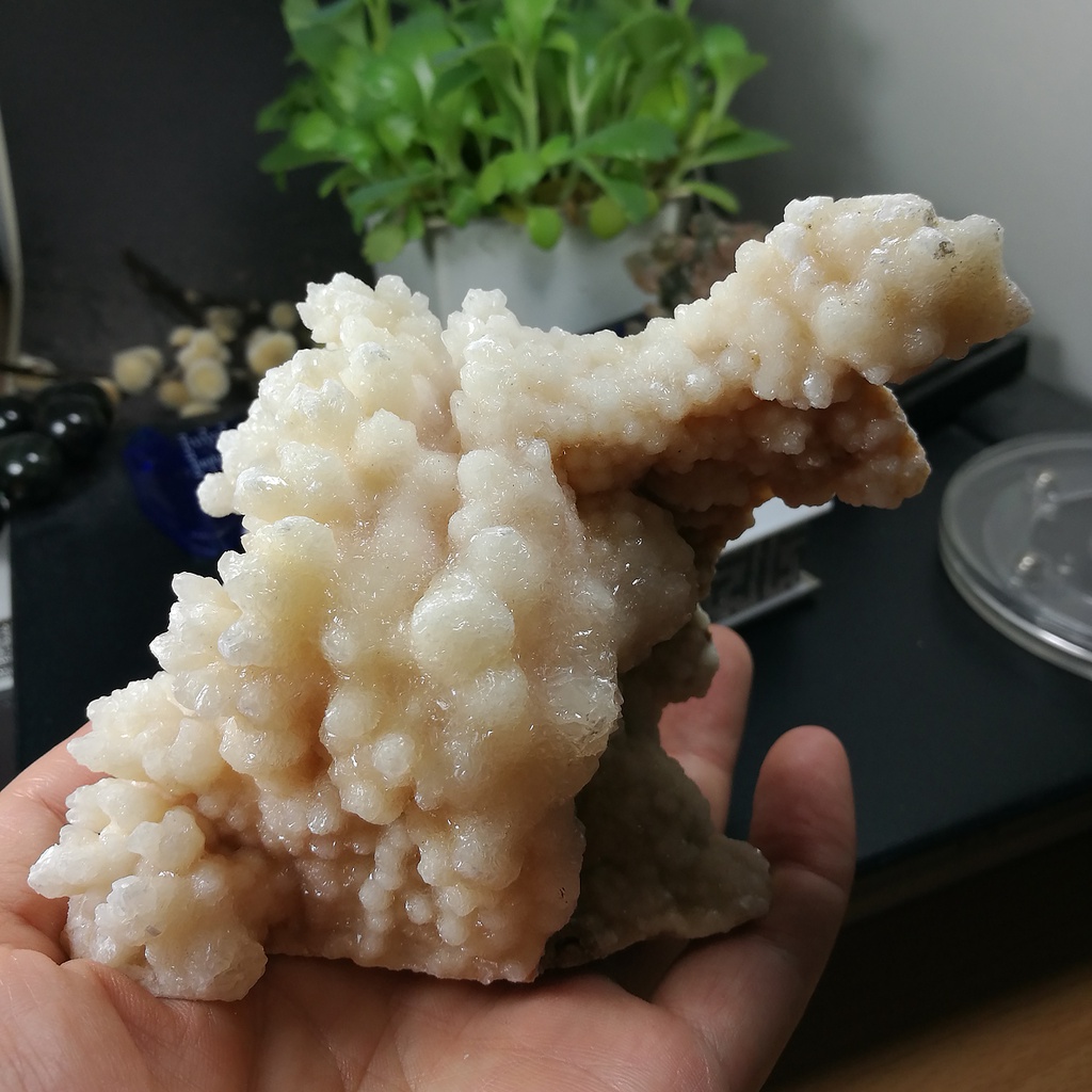 [友克鑫礦業]ea70約重510.7g 鐘乳石花 晶簇 結晶花 水晶花 Stalactite 鐘乳石