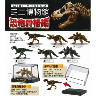 🐱貓星人🉐️絕版 EPOCH 迷你博物館 恐龍化石篇 扭蛋 轉蛋 恐龍 侏儸紀 暴龍 三角龍 劍龍 模型 化石