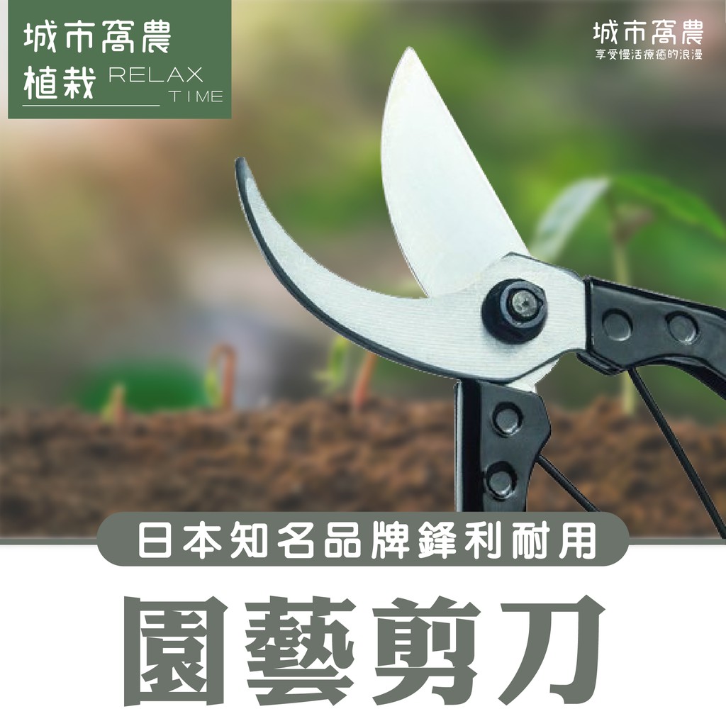 『城市窩農』日本兼次剪定鋏 修枝剪 樹枝剪園藝用剪刀 果樹剪 園藝用工具