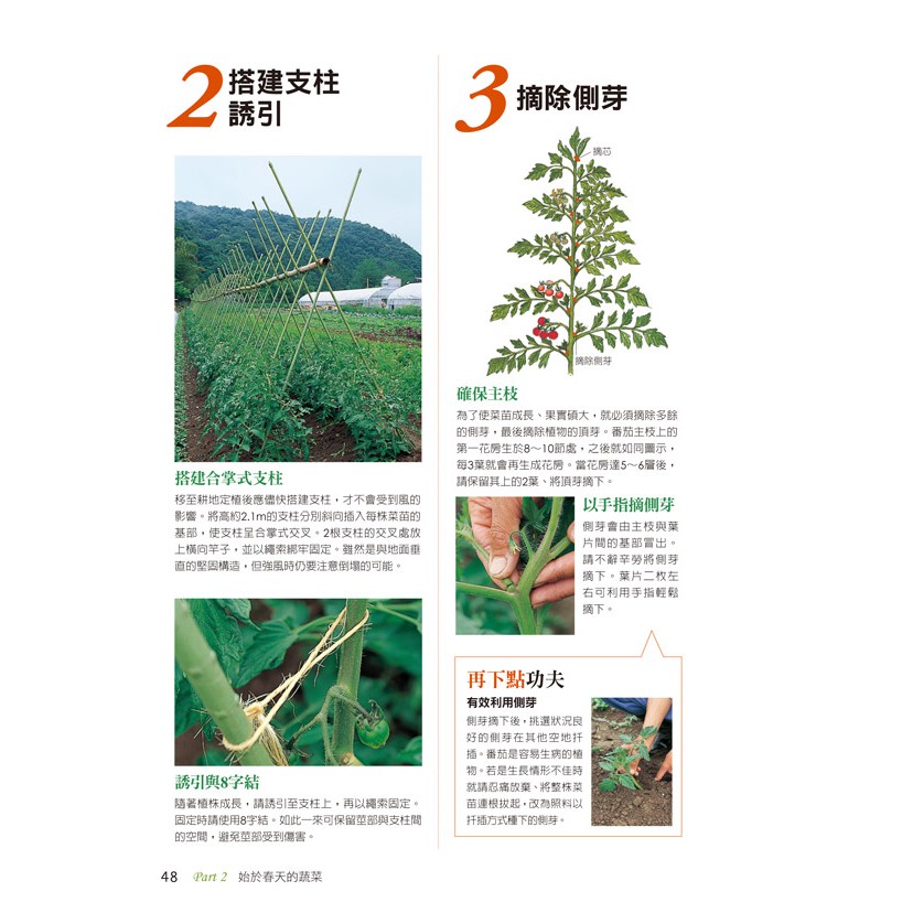 圖解有機家庭菜園 天然食材自己種 蝦皮購物
